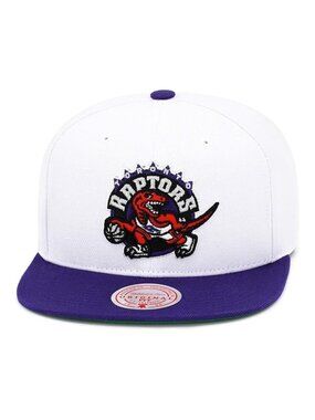 Mitchell & Ness Toronto Raptors Fresh Crown Snapback Hat Basketball Cap